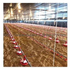 معدات مزرعة دواجن أوتوماتيكية كاملة جهاز تحكم دجاج اللاحم T607